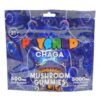 Psyched Chaga Mushroom Gummies